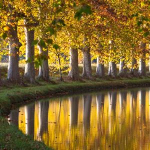 Canal du Midi